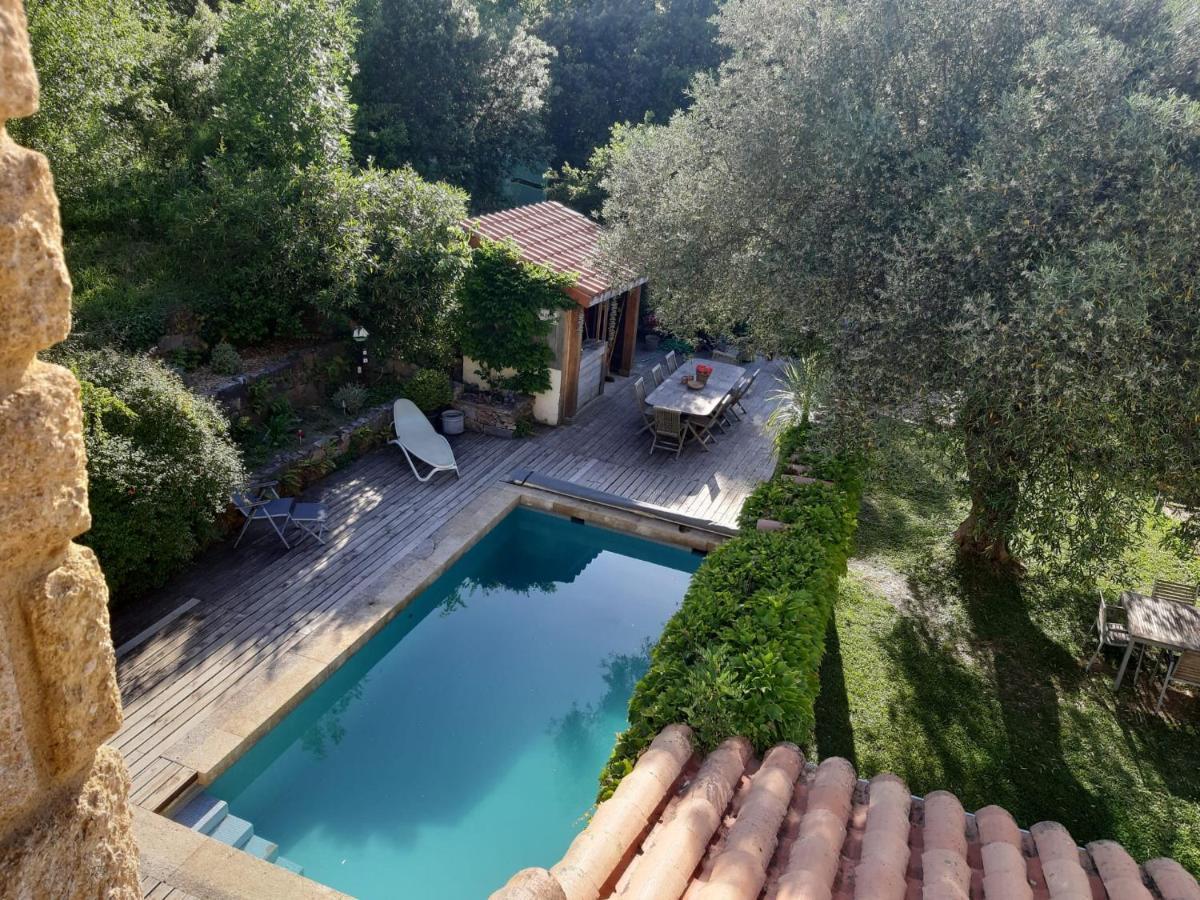 Villa Bonheur Vallespir Сере Экстерьер фото