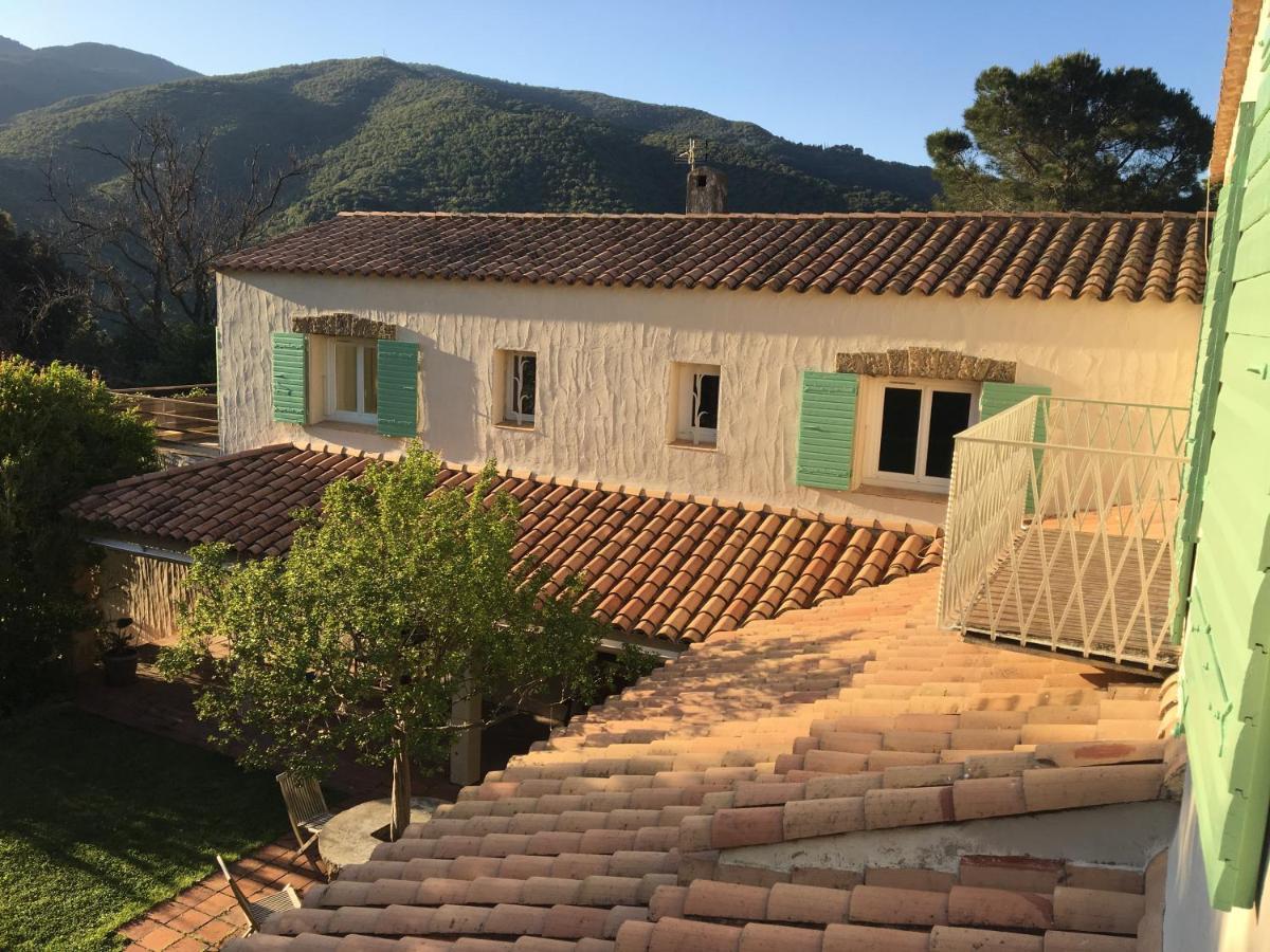 Villa Bonheur Vallespir Сере Экстерьер фото