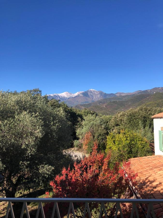 Villa Bonheur Vallespir Сере Экстерьер фото