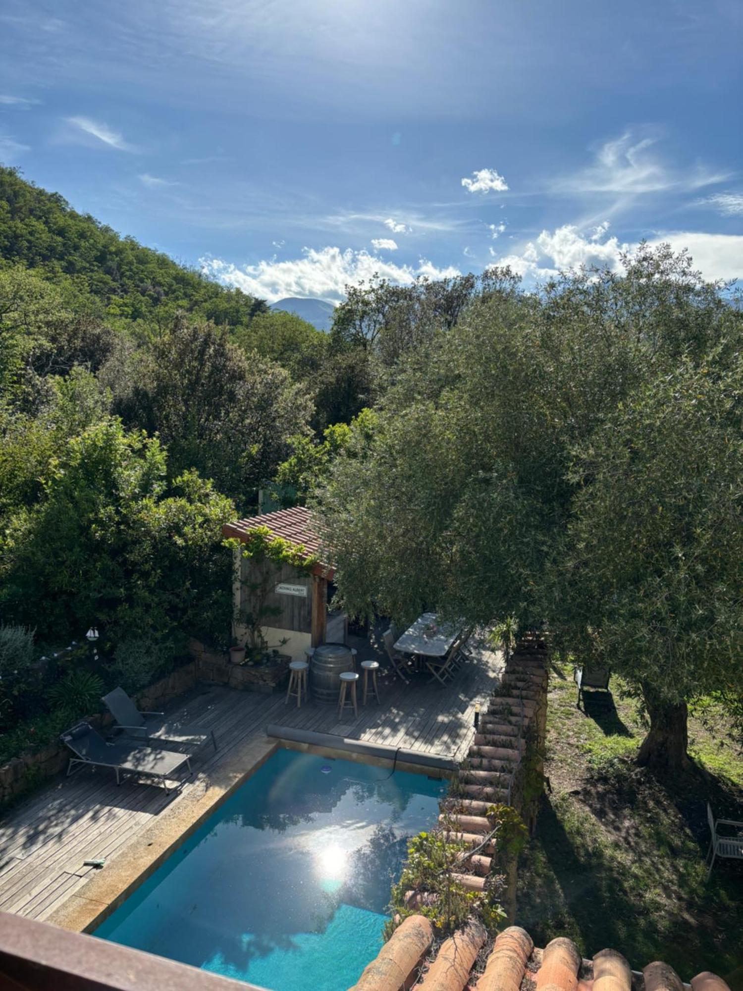 Villa Bonheur Vallespir Сере Экстерьер фото